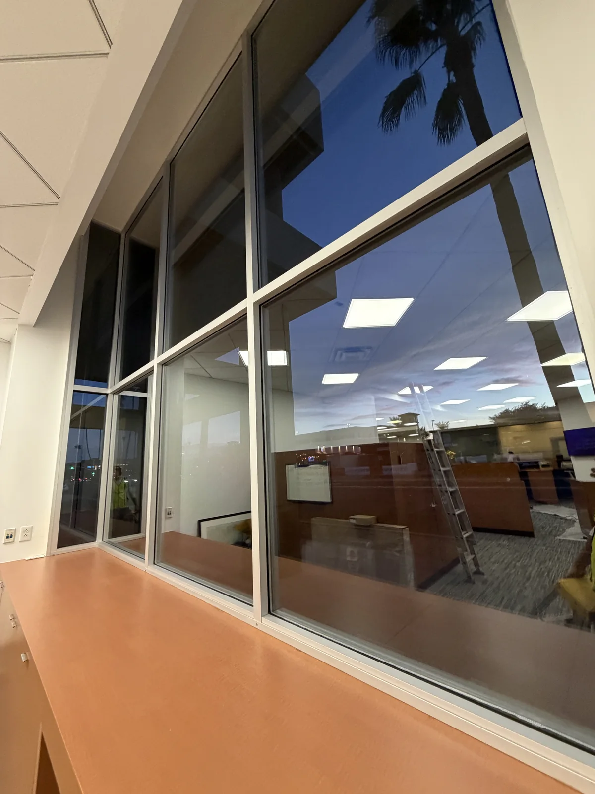 Interior view of tall floor-to-ceiling office windows at dusk, with spotless glass and a ladder visible in the reflection