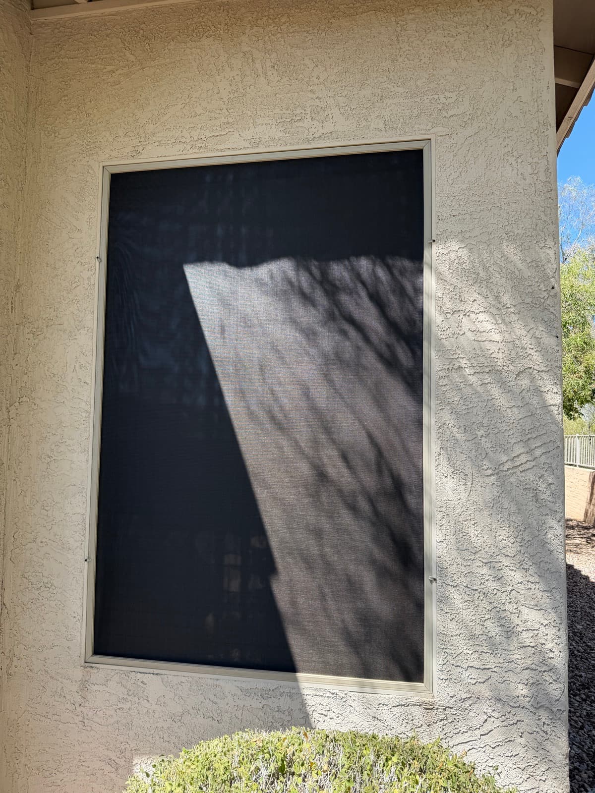 Custom solar screen cutting heat on a Phoenix window