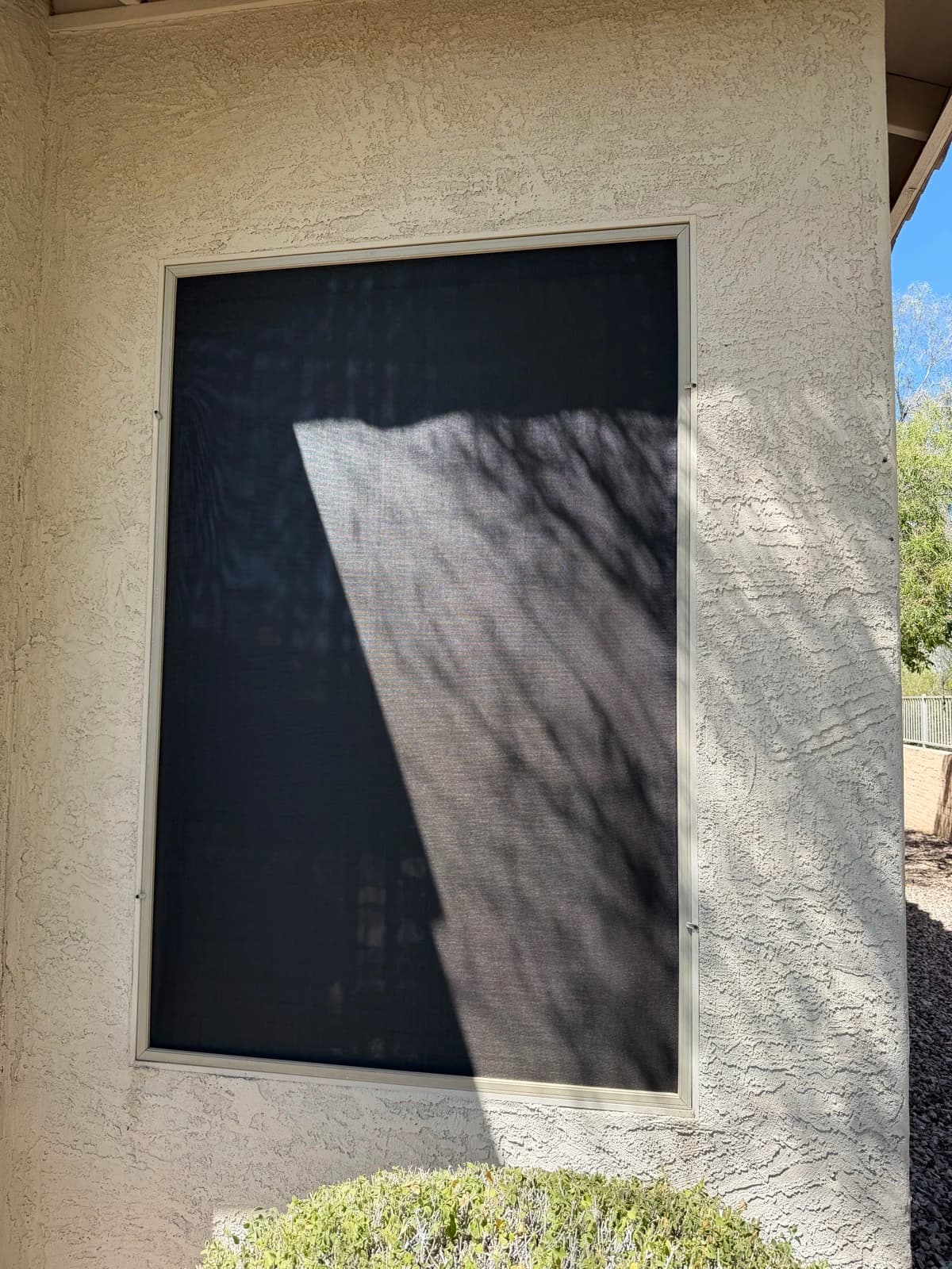 Custom solar screen cutting heat on a Phoenix window