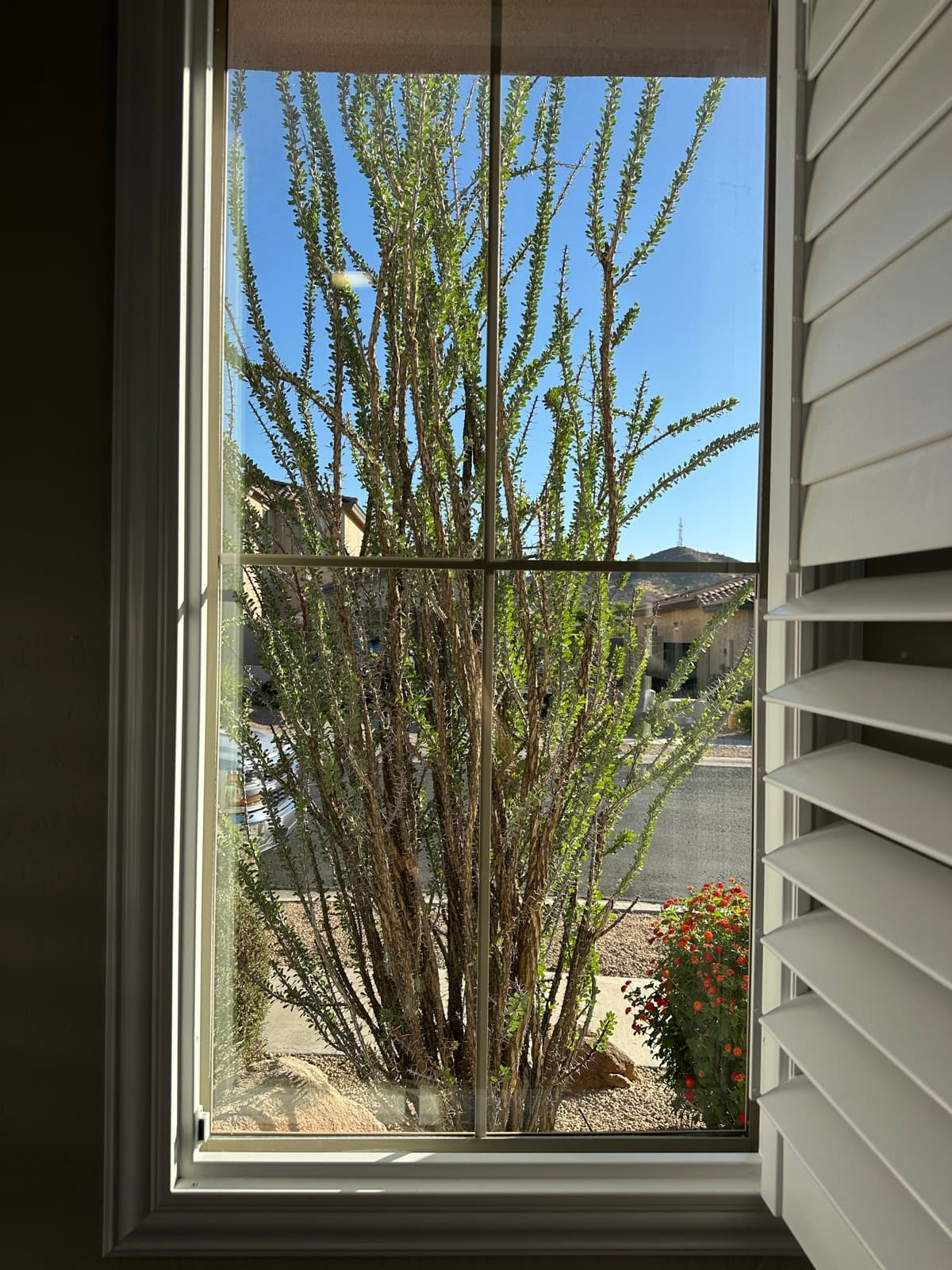 Dusty, hard-water-spotted window before cleaning